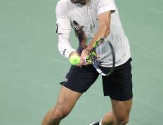 乐鱼 vip 注册-关于日本网球队逆转美国网球队，兹维列夫爆发神勇的信息