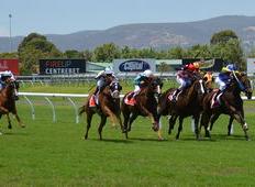 乐鱼app-澳大利亚网球队绝杀世界网球队，穆雷送出助攻