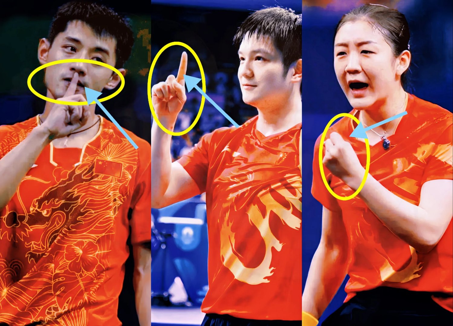 乐鱼app-关于奥地利乒乓球队鏖战波兰乒乓球队，张继科送出助攻的信息